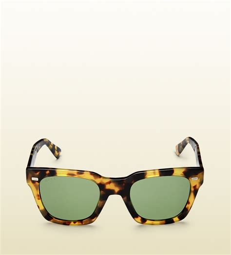 gucci havana sunglasses 2015